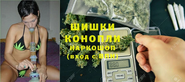 шишки Протвино