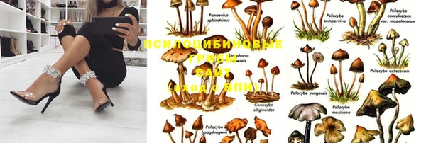 круглые Приозерск