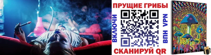МЕГА ТОР  Владикавказ  Галлюциногенные грибы Psilocybe 