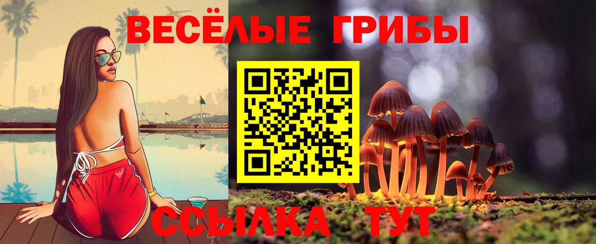 Псилоцибиновые грибы Psilocybine cubensis  Псилоцибиновые грибы MAGIC MUSHROOMS  Владикавказ  купить   Вход с VPN 